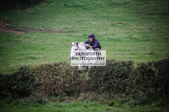 Bilsdale Hurworth Hedge Hop 676
