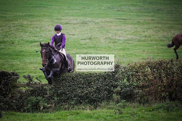 Bilsdale Hurworth Hedge Hop 669