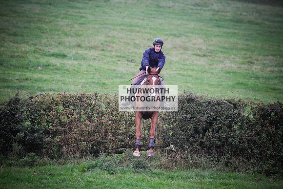 Bilsdale Hurworth Hedge Hop 664
