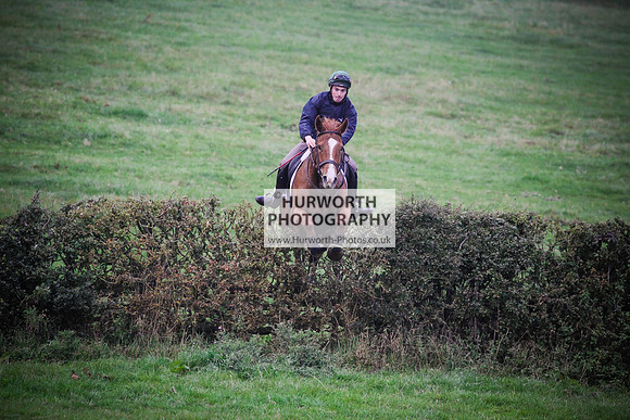 Bilsdale Hurworth Hedge Hop 663
