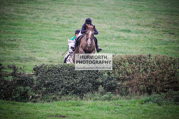 Bilsdale Hurworth Hedge Hop 657