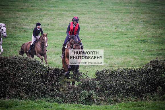 Bilsdale Hurworth Hedge Hop 655