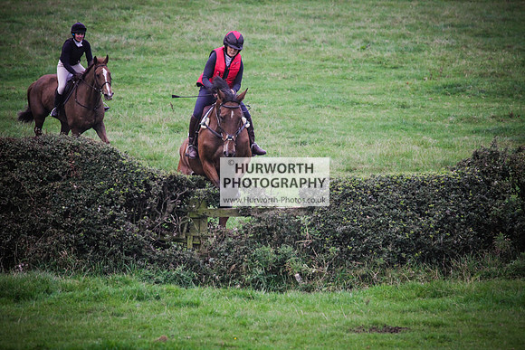 Bilsdale Hurworth Hedge Hop 654
