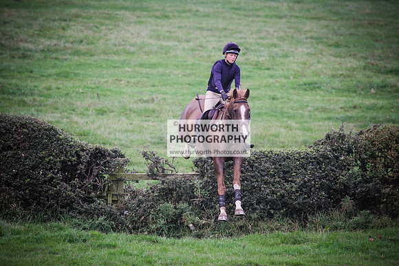 Bilsdale Hurworth Hedge Hop 653