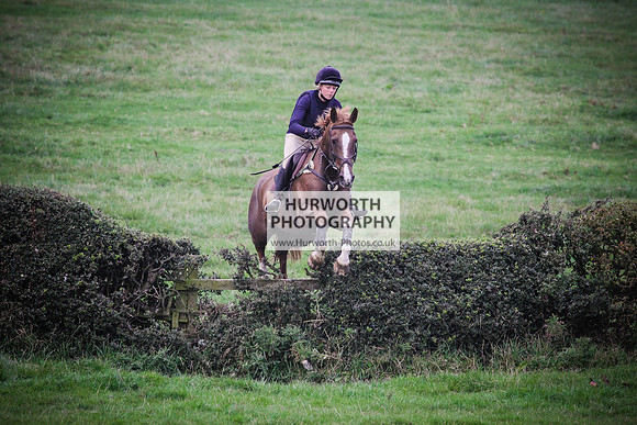 Bilsdale Hurworth Hedge Hop 652