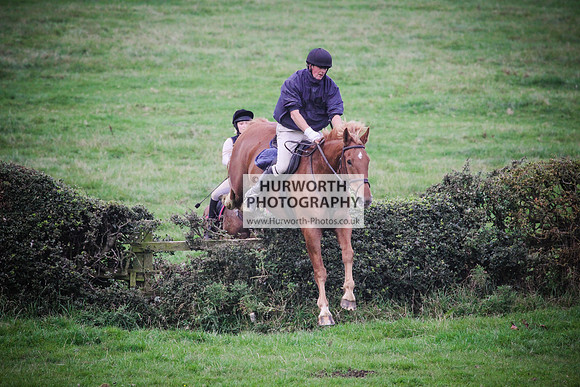 Bilsdale Hurworth Hedge Hop 649