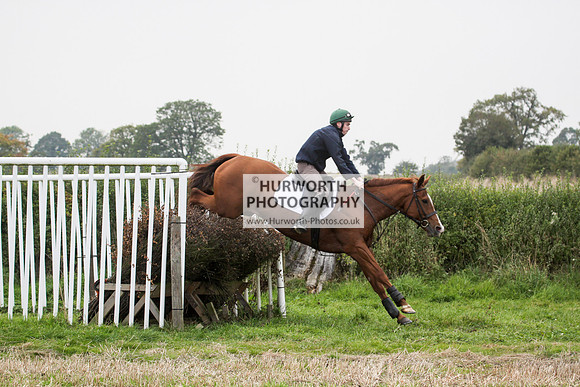 Bilsdale Hurworth Hedge Hop 631