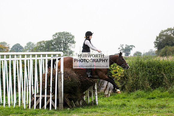 Bilsdale Hurworth Hedge Hop 622