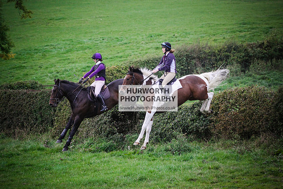 Bilsdale Hurworth Hedge Hop 618