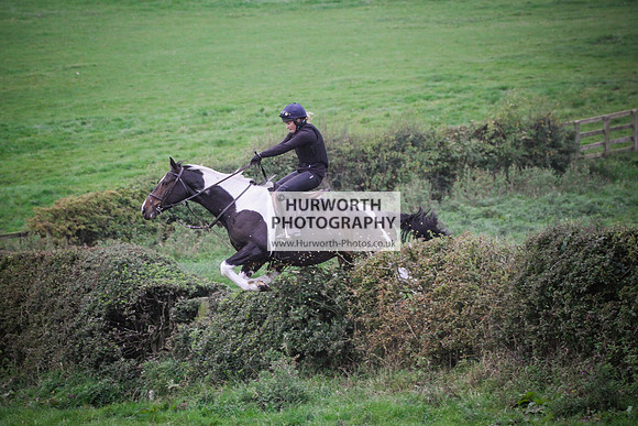 Bilsdale Hurworth Hedge Hop 614