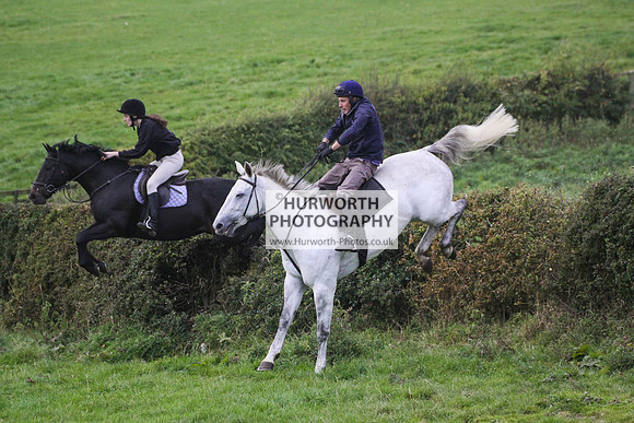 Bilsdale Hurworth Hedge Hop 611