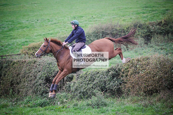 Bilsdale Hurworth Hedge Hop 608