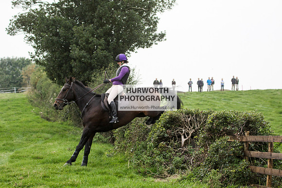 Bilsdale Hurworth Hedge Hop 591