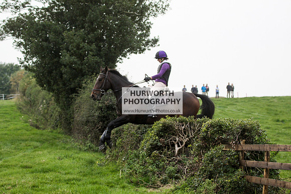 Bilsdale Hurworth Hedge Hop 590
