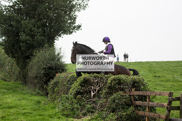Bilsdale Hurworth Hedge Hop 589