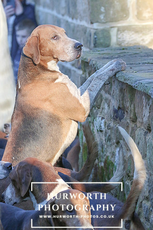 Hurworth Hunt 62