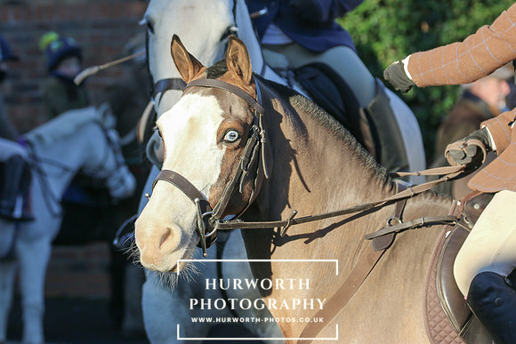 Hurworth Hunt 108