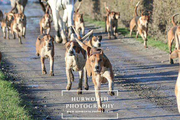 Hurworth Hunt 174