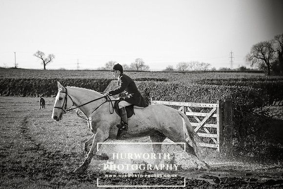 Hurworth Hunt 347