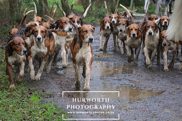 Hurworth Hunt 87