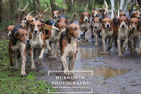 Hurworth Hunt 88