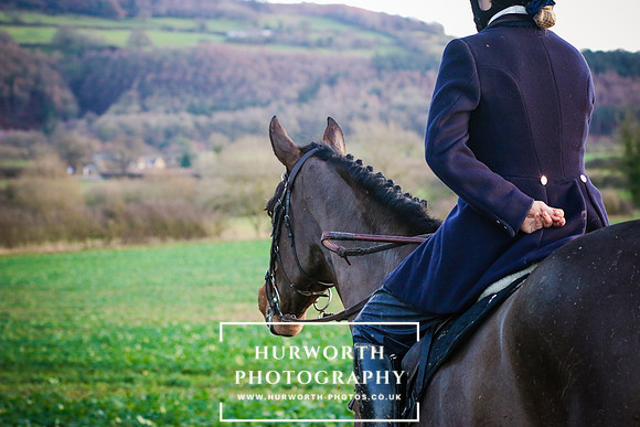 Hurworth Hunt 270