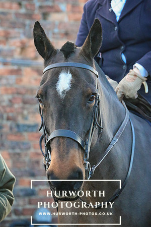 Hurworth Hunt 55