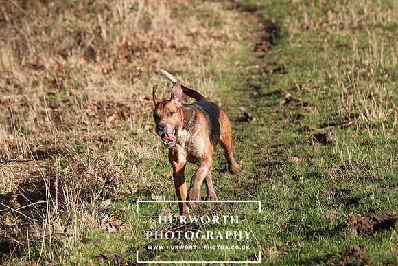 Hurworth Hunt 170