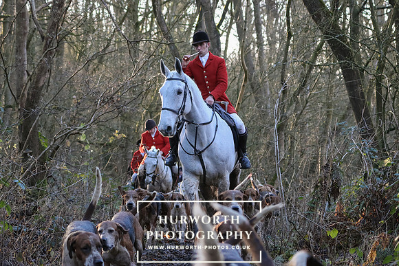 Hurworth Hunt 183