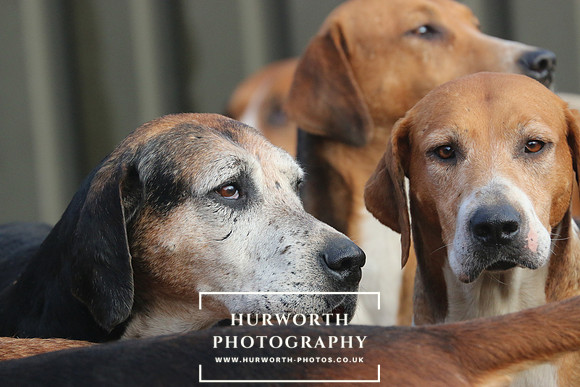 Hurworth Hunt 57