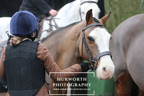 Hurworth Hunt 82