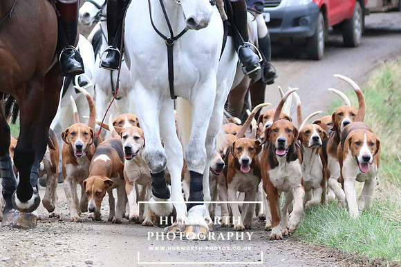 Hurworth Hunt 33