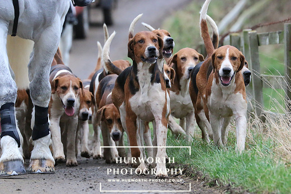 Hurworth Hunt 37