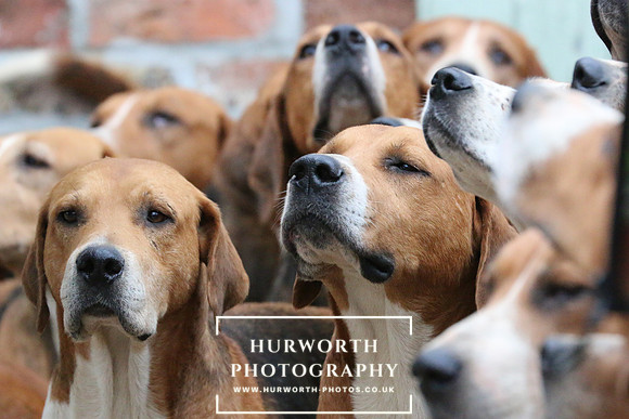 Hurworth Hunt 90