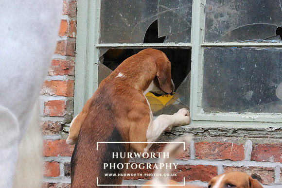 Hurworth Hunt 121
