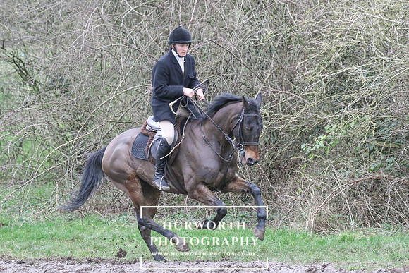Hurworth Hunt 176