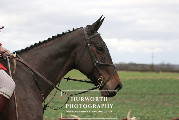 Hurworth Hunt 216