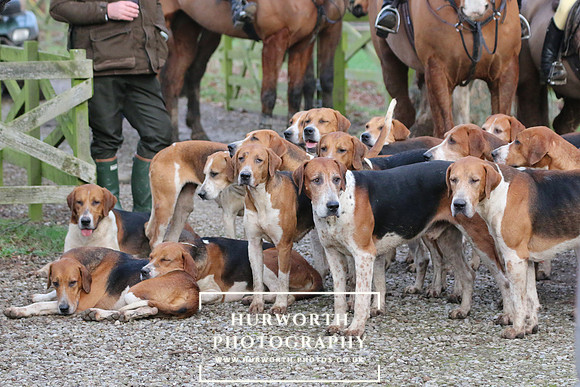 Hurworth Hunt 280