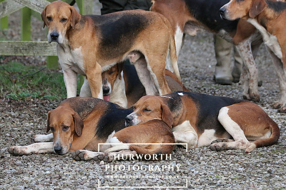 Hurworth Hunt 281