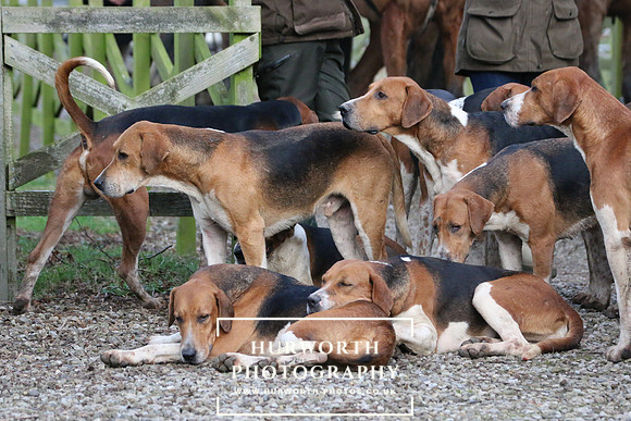 Hurworth Hunt 284