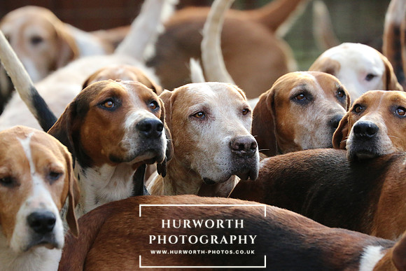 Hurworth Derwent 138
