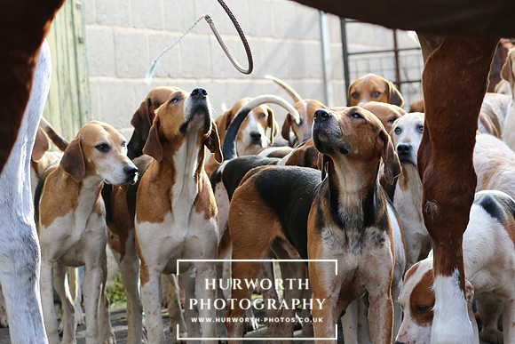 Hurworth Derwent 153