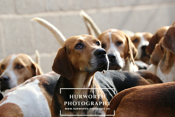 Hurworth Derwent 158