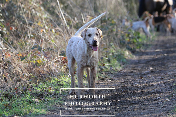 Hurworth Derwent 935