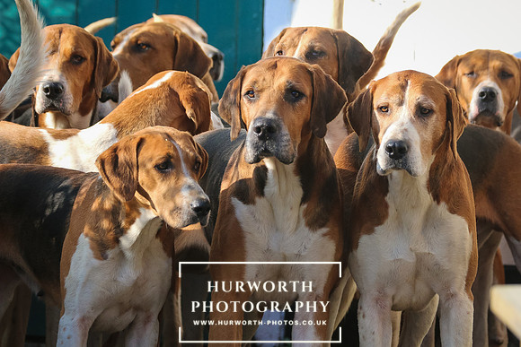 Hurworth Hunt 40