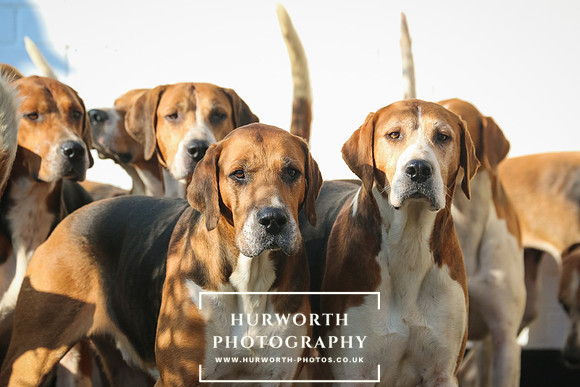 Hurworth Hunt 45