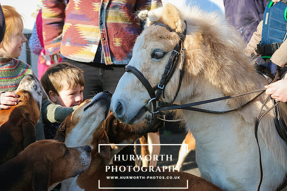Hurworth Hunt 101