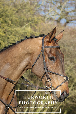 Hurworth Hunt 180