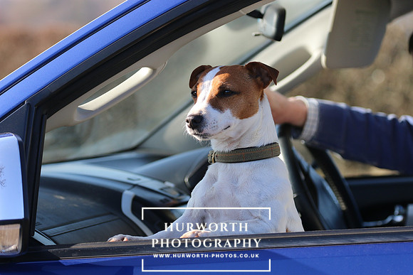 Hurworth Hunt 233