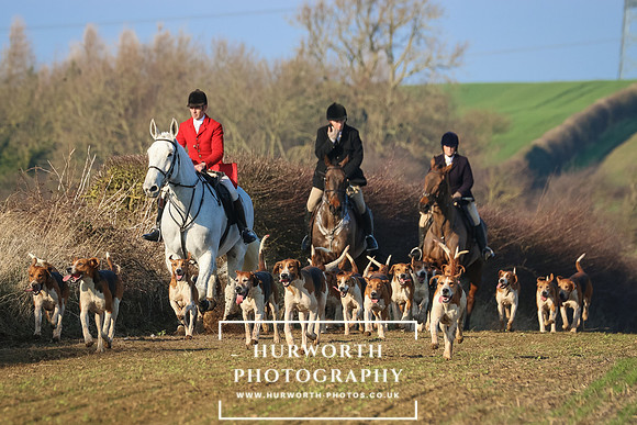 Hurworth Hunt 239
